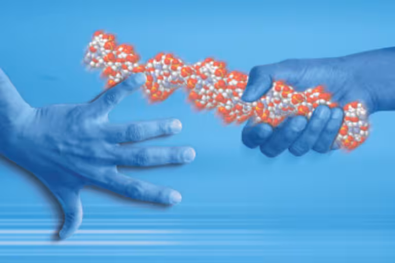 Drug Development Services